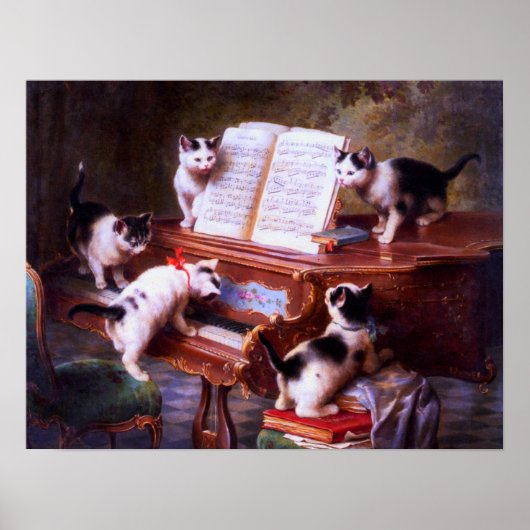 Zwarte en witte katten Kitten Poster (Voorkant)