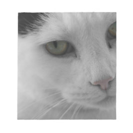 Zwarte en witte katten notitieblok