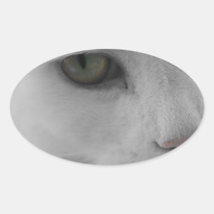 Zwarte en witte katten ovale sticker