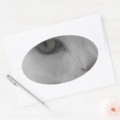 Zwarte en witte katten ovale sticker (Envelop)