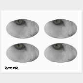 Zwarte en witte katten ovale sticker (Vel)