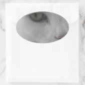 Zwarte en witte katten ovale sticker (Tas)