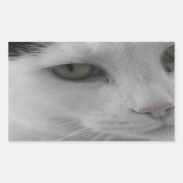 Zwarte en witte katten rechthoekige sticker