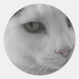 Zwarte en witte katten ronde sticker