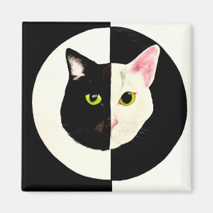 Zwarte en witte katten zien yin en yang magneet