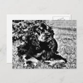 Zwarte en witte ketch van een Cocker Spaniel Briefkaart (Voorkant / Achterkant)