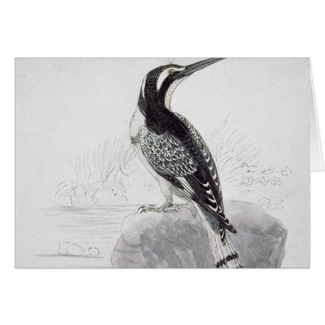 Zwarte en witte Kingfisher (Voorkant Horizontaal)