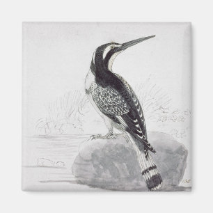 Zwarte en witte Kingfisher Magneet