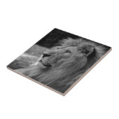 Zwarte en witte leeuw - Wilde dieren Tegeltje (Zijkant)