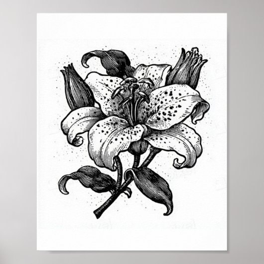 Zwarte en witte leliebloem uit de vintage tijd poster (Voorkant)
