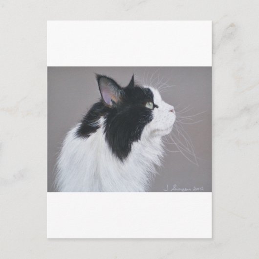 Zwarte en witte Maine Coon kat. Briefkaart (Voorkant)