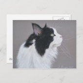 Zwarte en witte Maine Coon kat. Briefkaart (Voorkant / Achterkant)