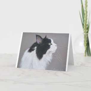 Zwarte en witte Maine Coon kat. Kaart