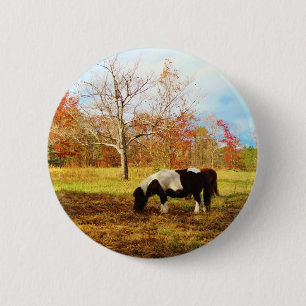 Zwarte en witte miniatuur Pony/paarden Ronde Button 5,7 Cm