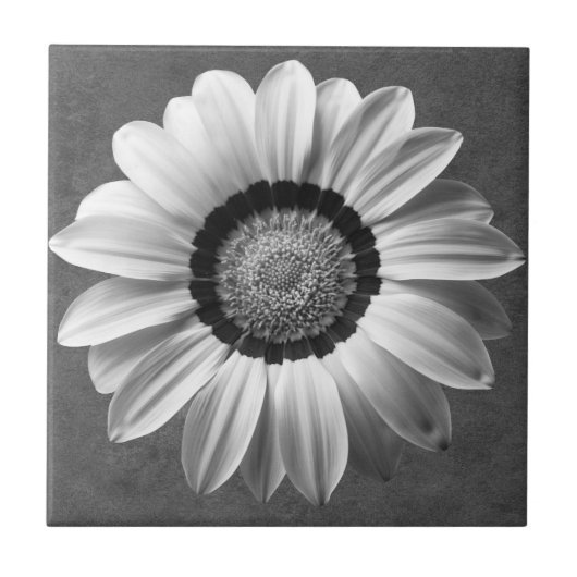 Zwarte en witte mooie bloem tegeltje (Voorkant)