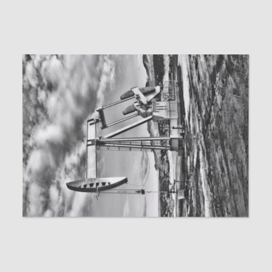 Zwarte en witte olivelpompeenheid tissuepapier (Voorkant)