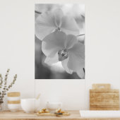 Zwarte en witte orchideeën poster (Keuken)