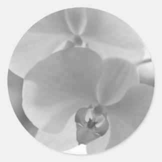 Zwarte en witte orchideeën ronde sticker