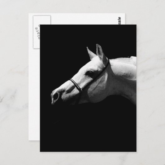 Zwarte en witte paarden briefkaart (Voorkant / Achterkant)