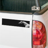 Zwarte en witte paarden bumpersticker (Op Truck)