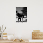Zwarte en witte paarden poster (Keuken)