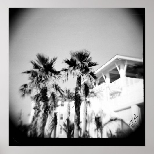 Zwarte en witte palm poster (Voorkant)