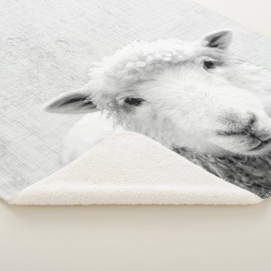 Zwarte en witte peekaboo-schapenminimalistische we sherpa deken (3/4)