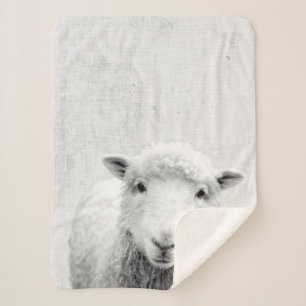 Zwarte en witte peekaboo-schapenminimalistische we sherpa deken