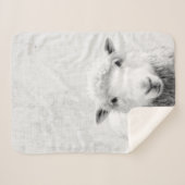 Zwarte en witte peekaboo-schapenminimalistische we sherpa deken (Voorkant (horizontaal))