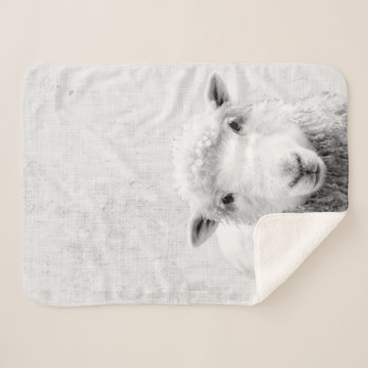 Zwarte en witte peekaboo-schapenminimalistische we sherpa deken (Voorkant (horizontaal))