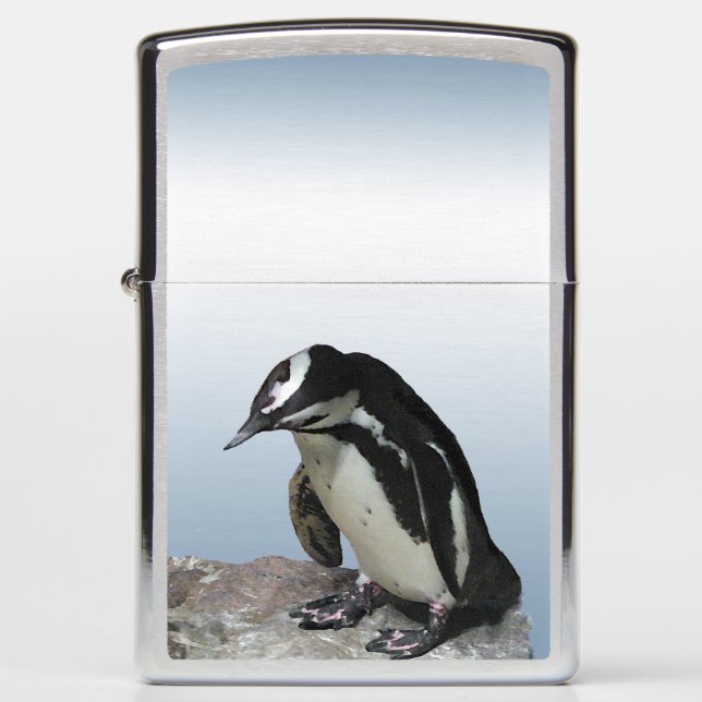 Zwarte en witte pinguïn Bird Zippo Lighter (Voorkant)