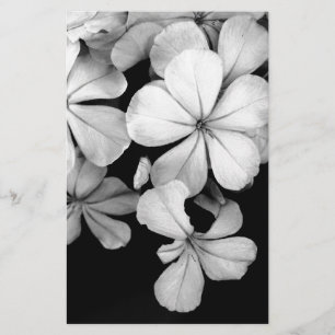 zwarte en witte Plumbago Briefpapier