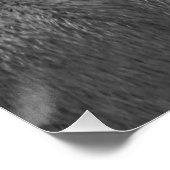 Zwarte en witte pup perfect poster (Hoek)