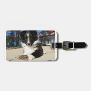 zwarte en witte puppy bagagelabel