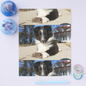 zwarte en witte puppy flyer (Enkel)