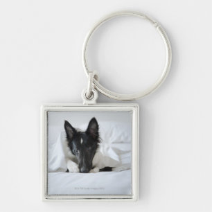 Zwarte en witte puppy in bed met bot sleutelhanger