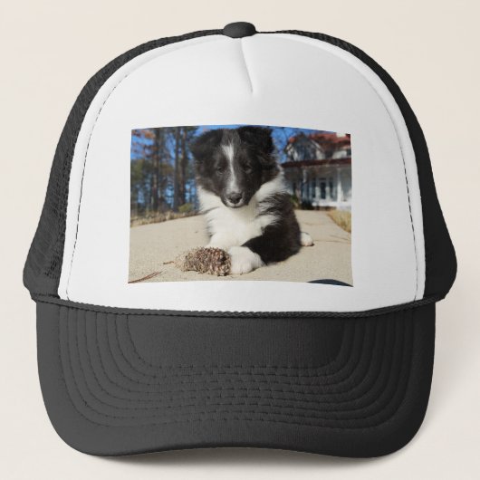 zwarte en witte puppy trucker pet (Voorkant)