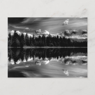 Zwarte en witte reflecties Postkaart