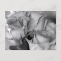 Zwarte en witte rozen