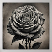 Zwarte en witte rozenbloem poster (Voorkant)