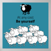 Zwarte en witte schapen poster (Voorkant)