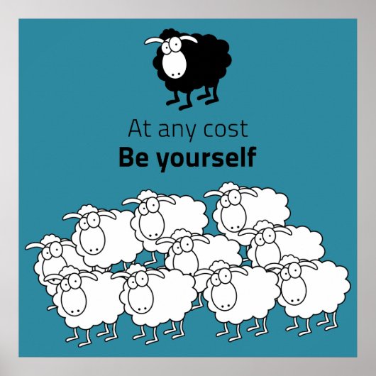 Zwarte en witte schapen poster (Voorkant)