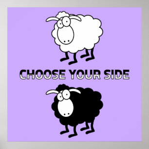 Zwarte en witte schapen poster