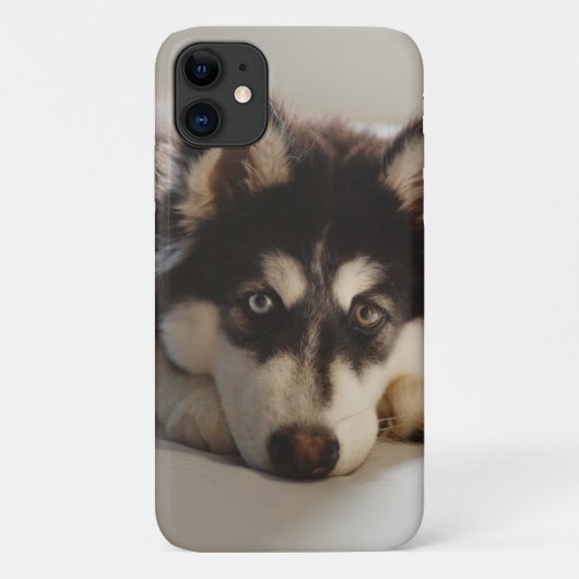 Zwarte en witte siberische husky Case-Mate iPhone case (Achterkant)