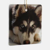 Zwarte en witte siberische husky keramisch ornament (Rechts)