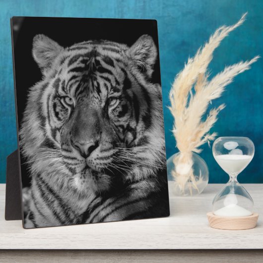 Zwarte en witte tijger fotoplaat (Zijkant)