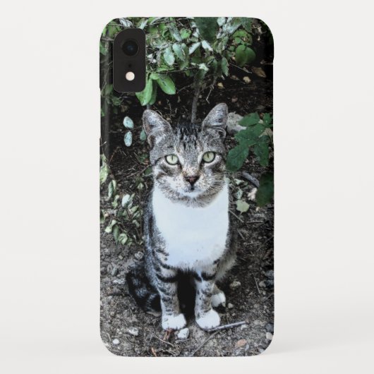 ZWARTE EN WITTE TURKSE CAT RONIN Case-Mate iPhone CASE (Achterkant)