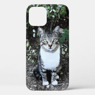 ZWARTE EN WITTE TURKSE CAT RONIN iPhone 12 HOESJE