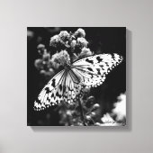 Zwarte en witte vlinder canvas afdruk (Voorkant)
