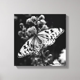 Zwarte en witte vlinder canvas afdruk